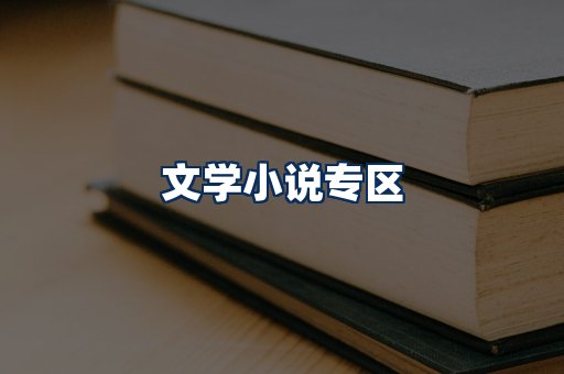文学小说PDF展示